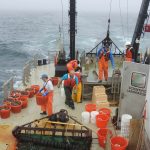 Human Impact on Marine Ecosystems: The Tragic Symphony of Life and Death
