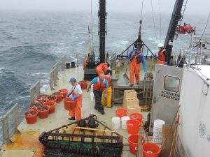 Human Impact on Marine Ecosystems: The Tragic Symphony of Life and Death