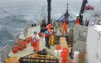 Human Impact on Marine Ecosystems: The Tragic Symphony of Life and Death