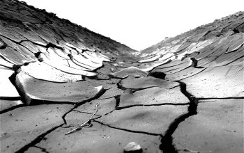 Image of a dry cracked soil