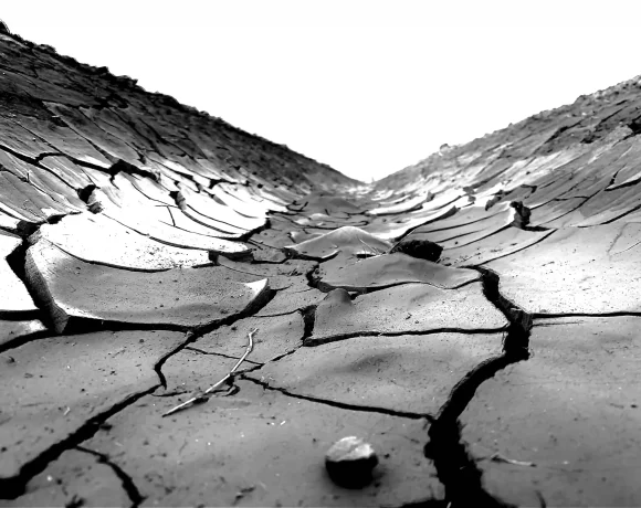 Image of a dry cracked soil