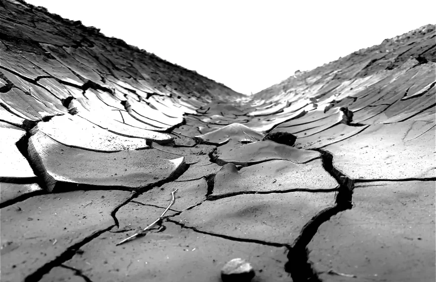 Image of a dry cracked soil