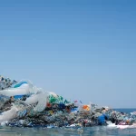 Waste Management in the Maritime Sector