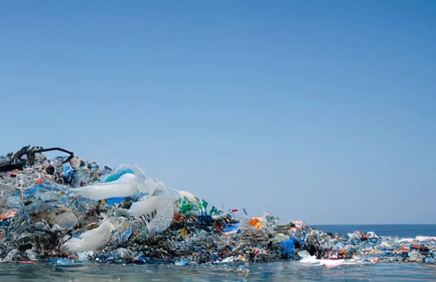 Waste Management in the Maritime Sector