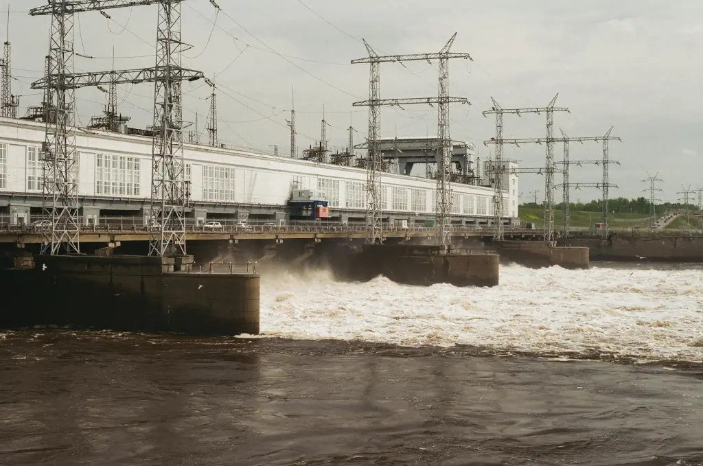 Flood Tide: The Inflowing Rush of Coastal Energy