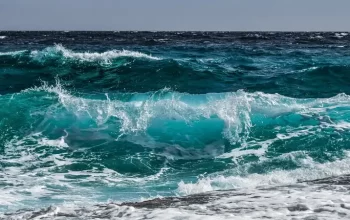 The Impact of Ocean Warming on Marine Habitats and Species Distribution
