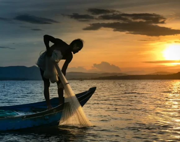 Sustainable Fishing Practices: A Strategic Imperative for the Seafood Industry
