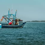 B.C. conservation organizations welcome Ocean Wise decision to pull its recommendation of sustainability for southeast Alaska salmon fisheries