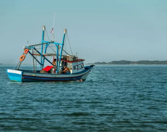 B.C. conservation organizations welcome Ocean Wise decision to pull its recommendation of sustainability for southeast Alaska salmon fisheries