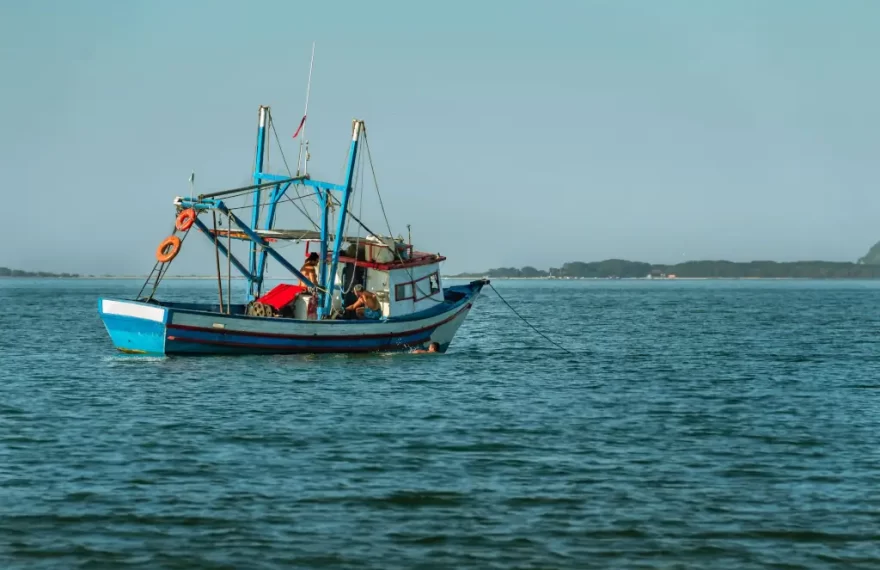 B.C. conservation organizations welcome Ocean Wise decision to pull its recommendation of sustainability for southeast Alaska salmon fisheries