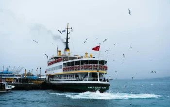 Marine Ecology News Digest: August 2024